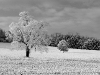 _1060366 - Version 2
